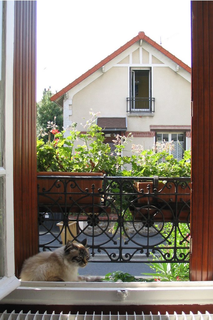 Vitry-sur-Seine