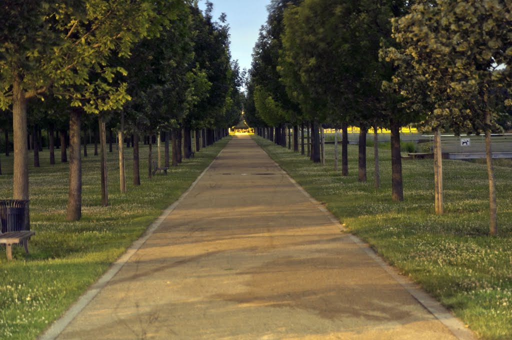 Parc des lilas , allée