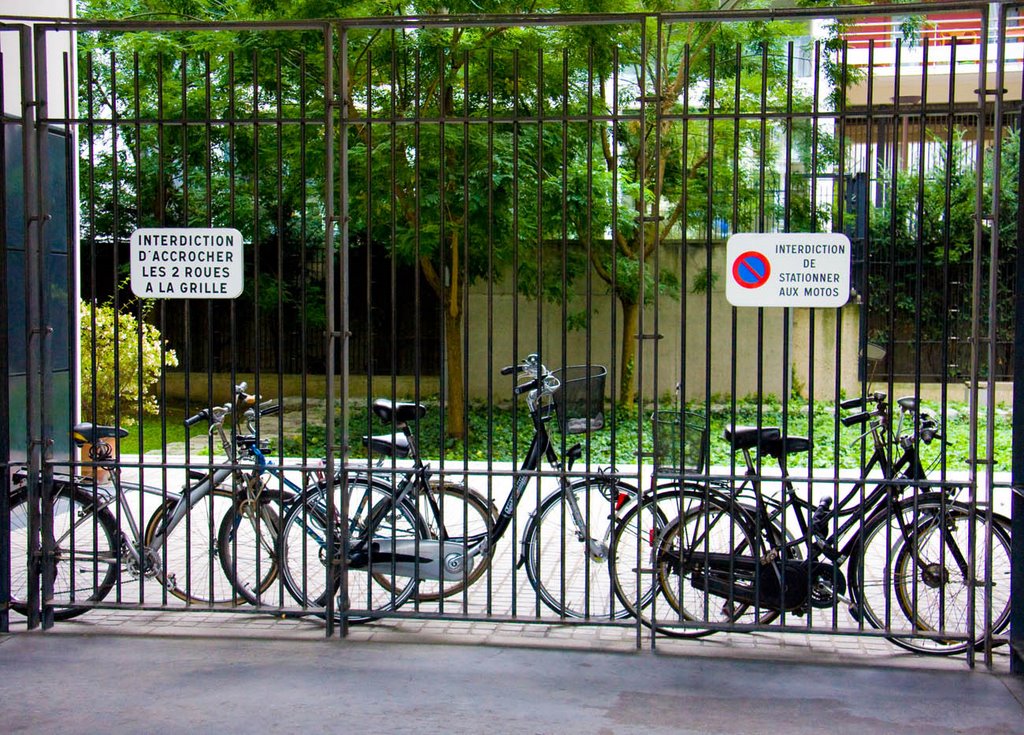 Paris. Vélos.