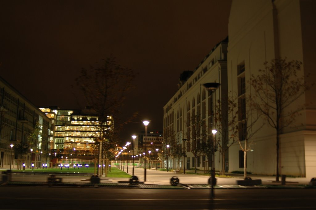 DSC_1211