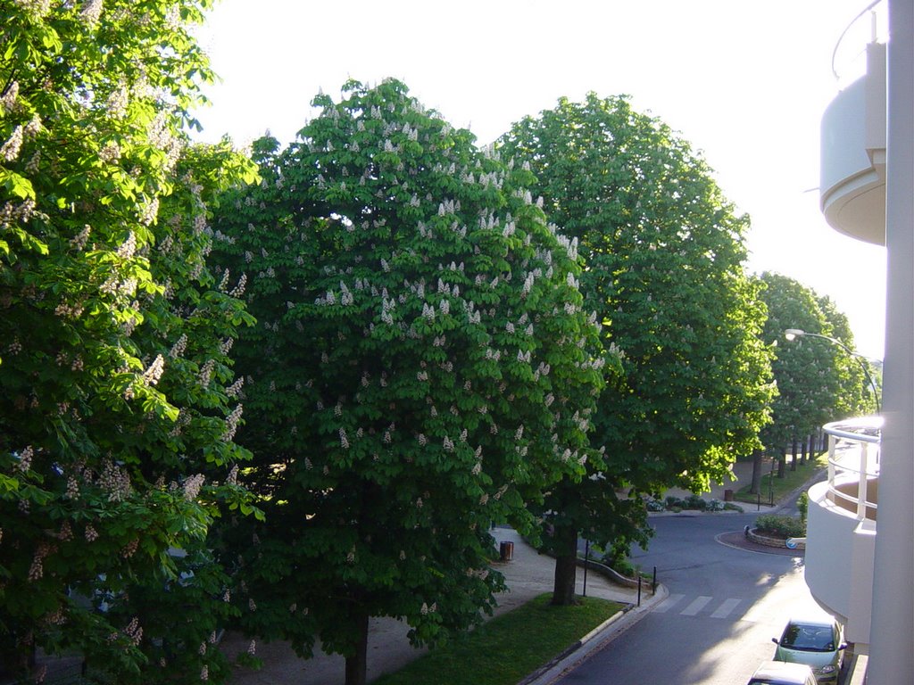Av Fusillés St Maur