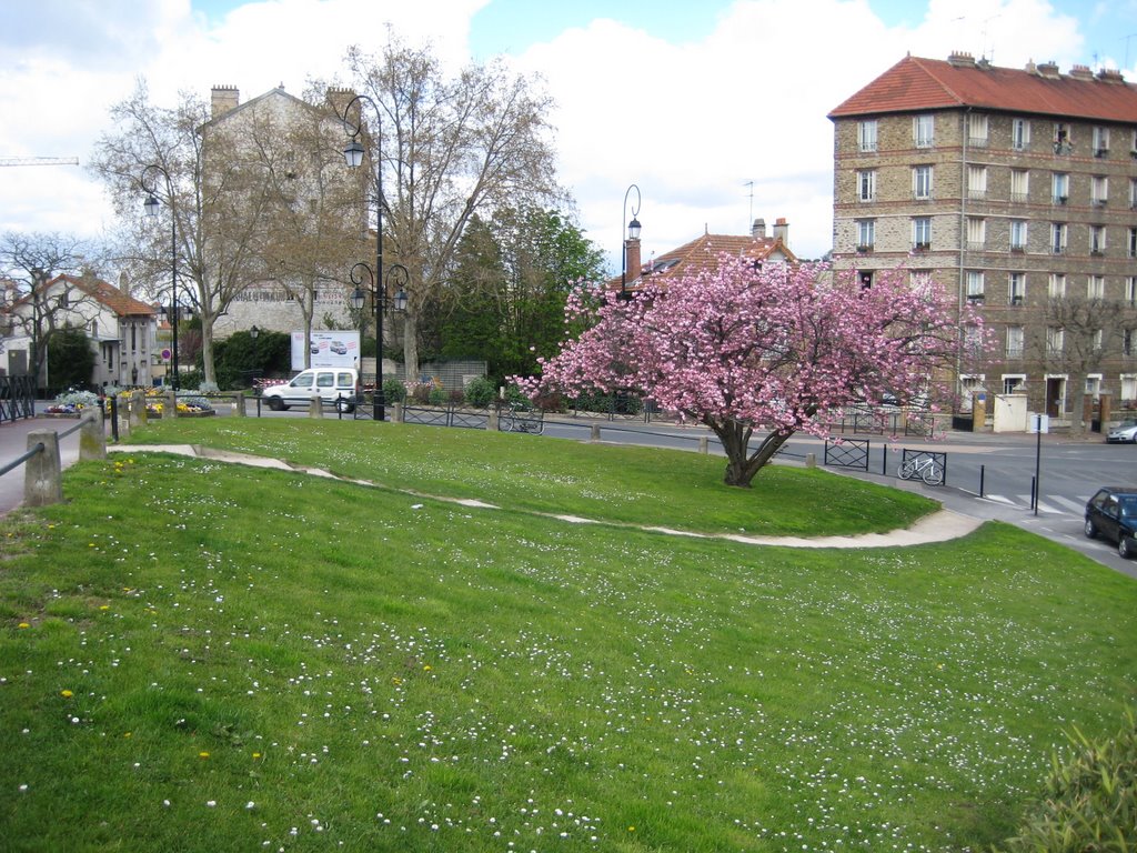 un petit jardin