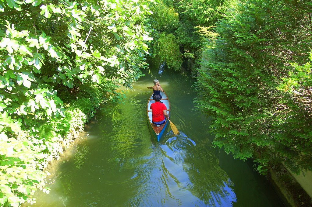 Les bayous de Créteil