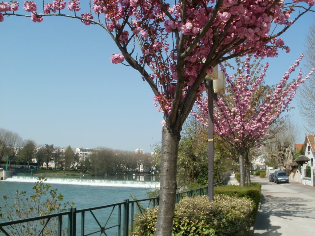 Joinville-le-Pont 2