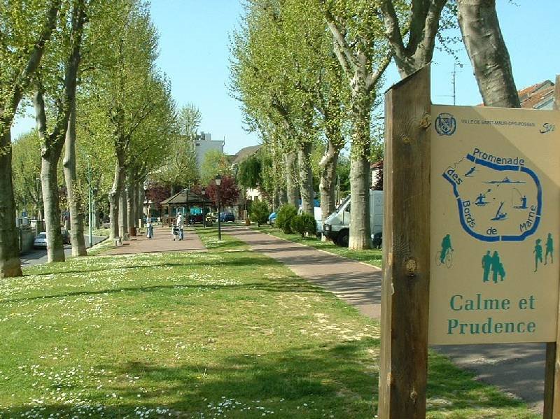 Allée Bd Ferrié à Saint Maur des Fossés