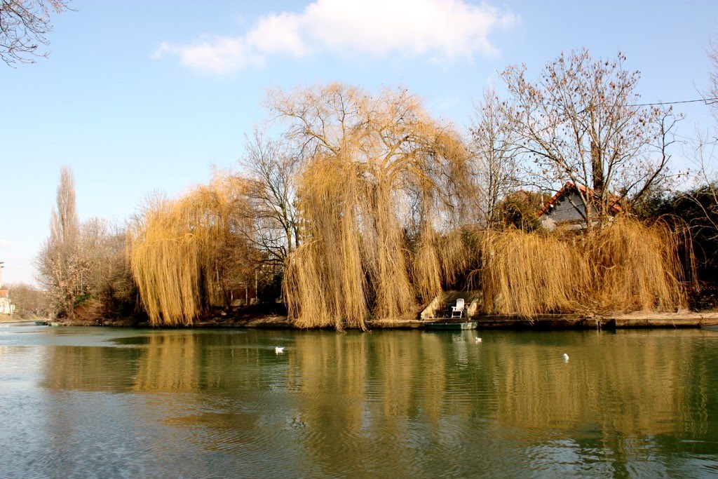 Bords de Marne
