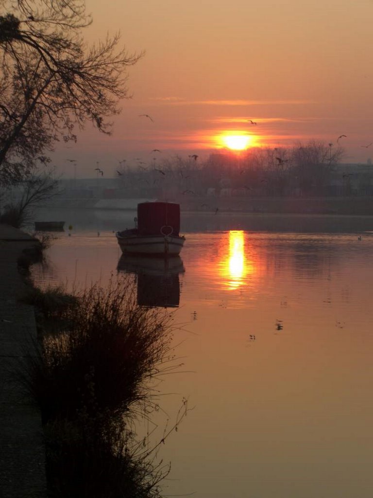 Lever de Soleil Hivernal