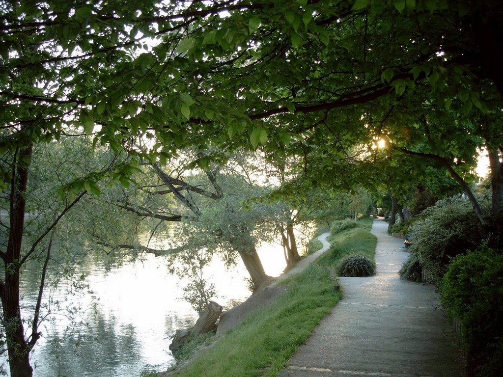 soirée, au bord de la marne