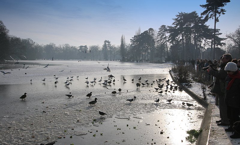 Lac des minimes, Vincennes, France