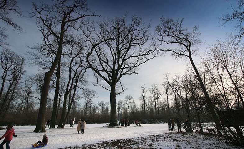 Lac des minimes, Vincennes, France