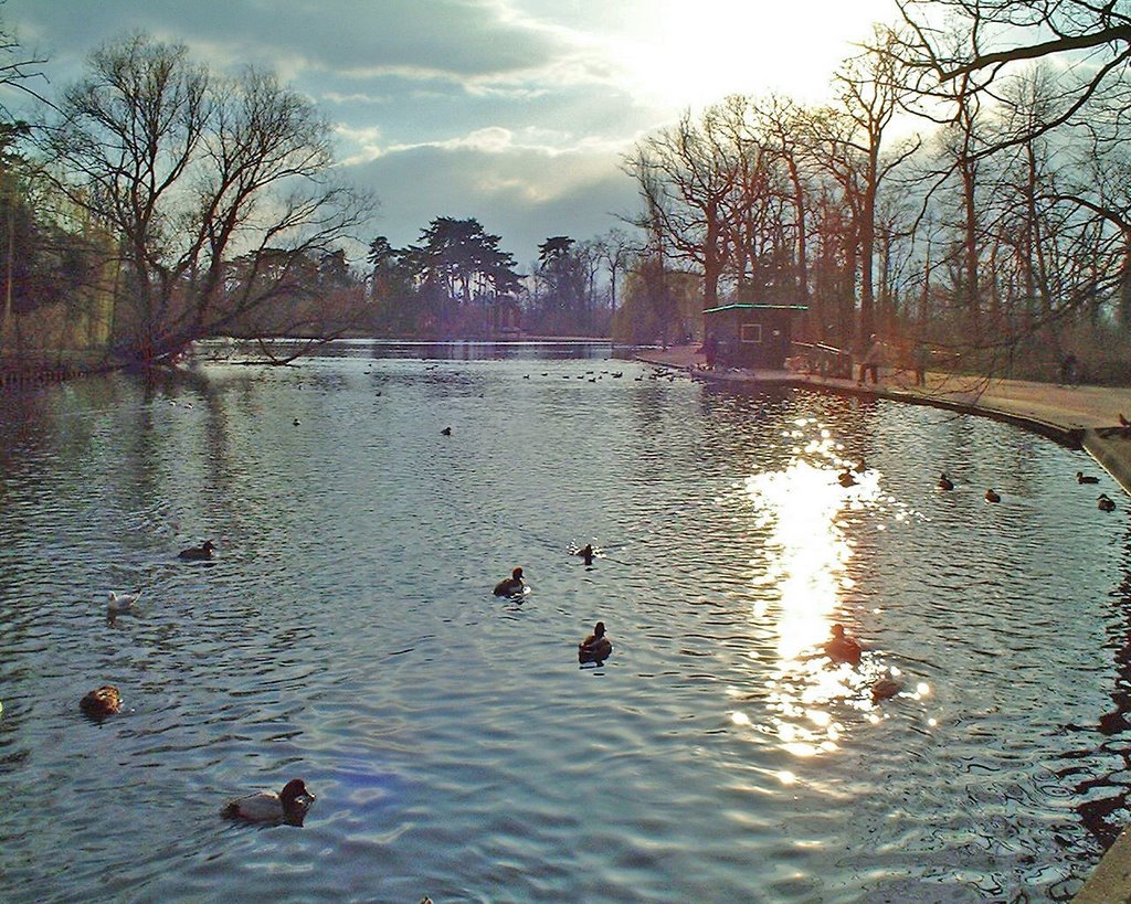 Bois De Vincennes - Lac Des Minimes