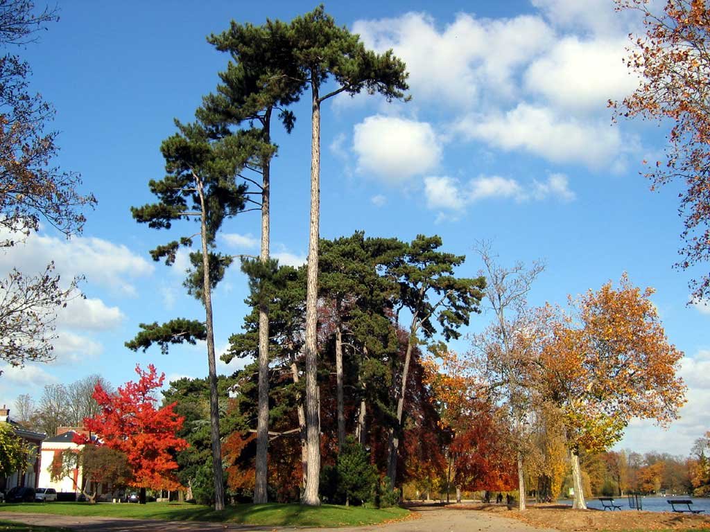 Lac de Vincenne