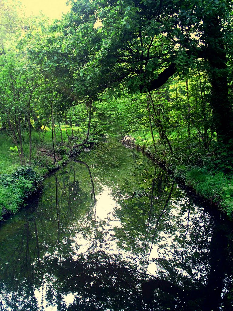 Bois de Vincennes