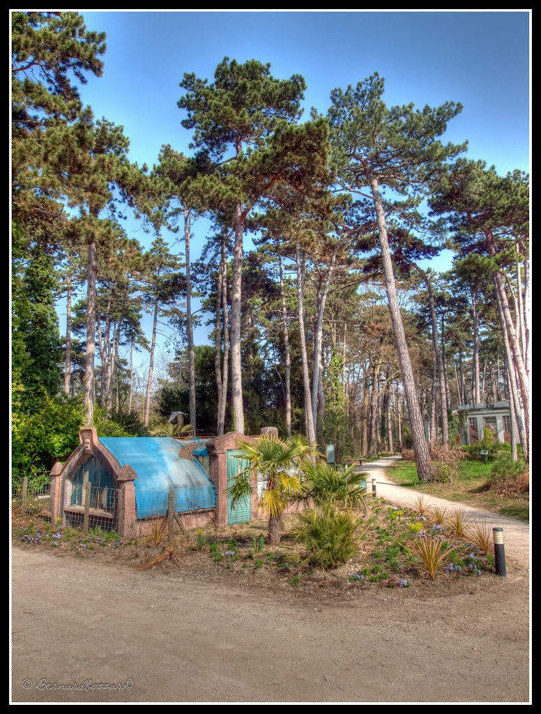 Cest une maison bleue ...