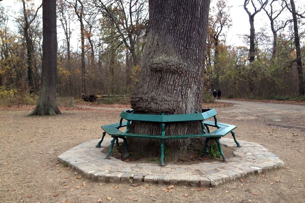 Bois de Vincennes.