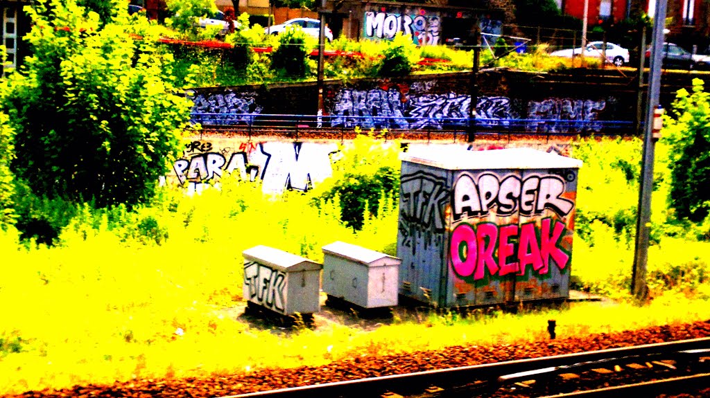 Street Art and Train