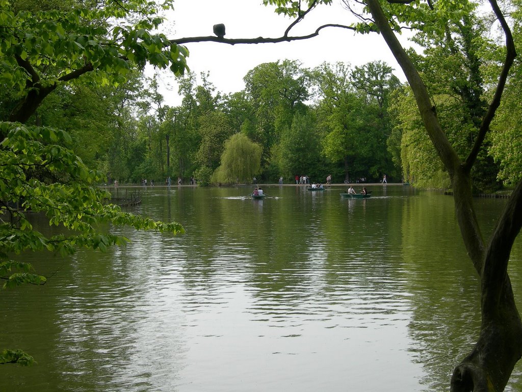 Bois de Vincennes - Le lac des minimes 2