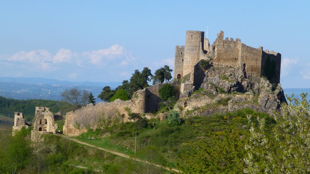 CHATEAU  DE  SAIL  SOUS  COUZAN