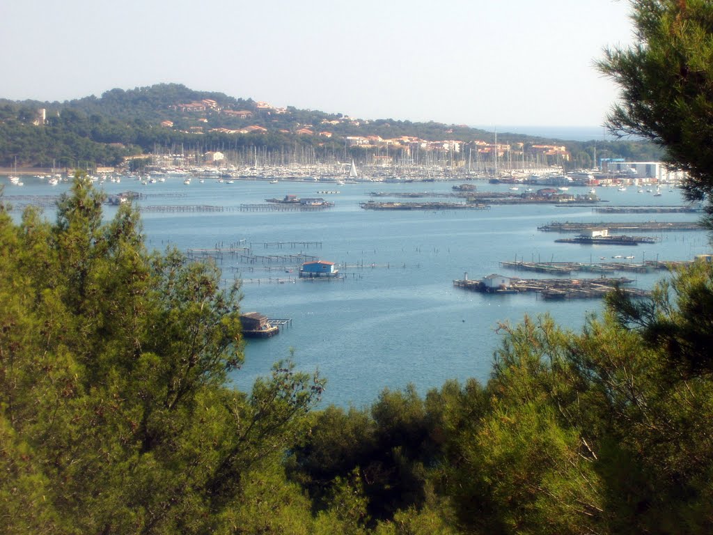 La Seyne-sur-Mer, vue sur Port Pin Rolland depuis la Villa Tamaris