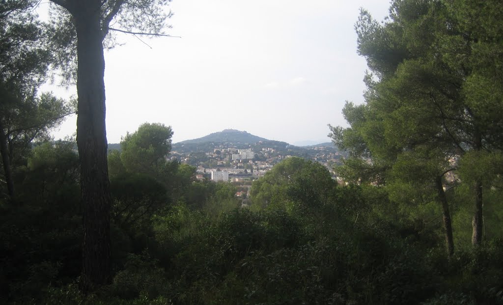 Du Fort Napoléon : colline du vieux Six-Fours, la Seyne-sur-mer... âme & morts