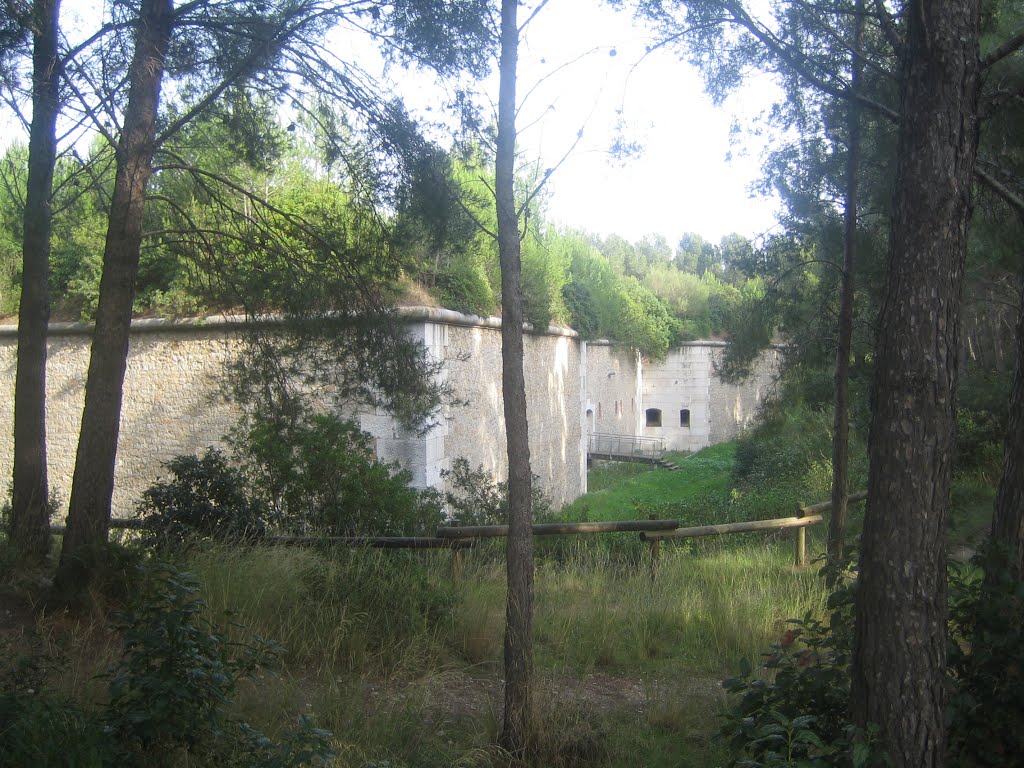 Le Fort XIXe dit Napoléon