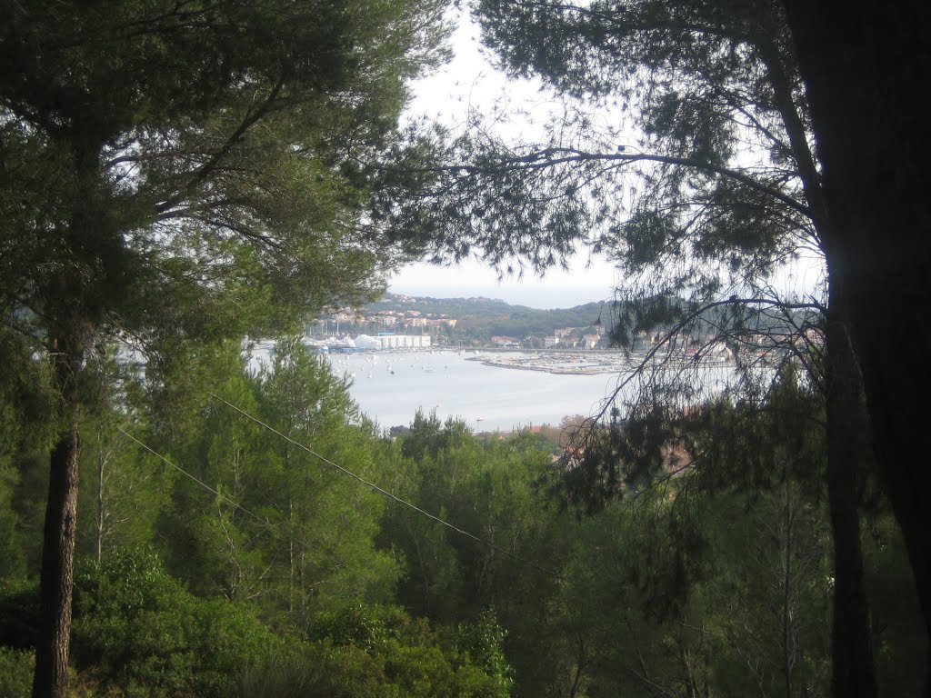 Du Fort Napoléon, presquile de Saint-Mandrier