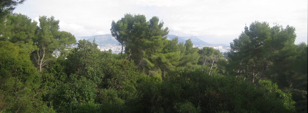 Toulon vu du Fort Napoléon