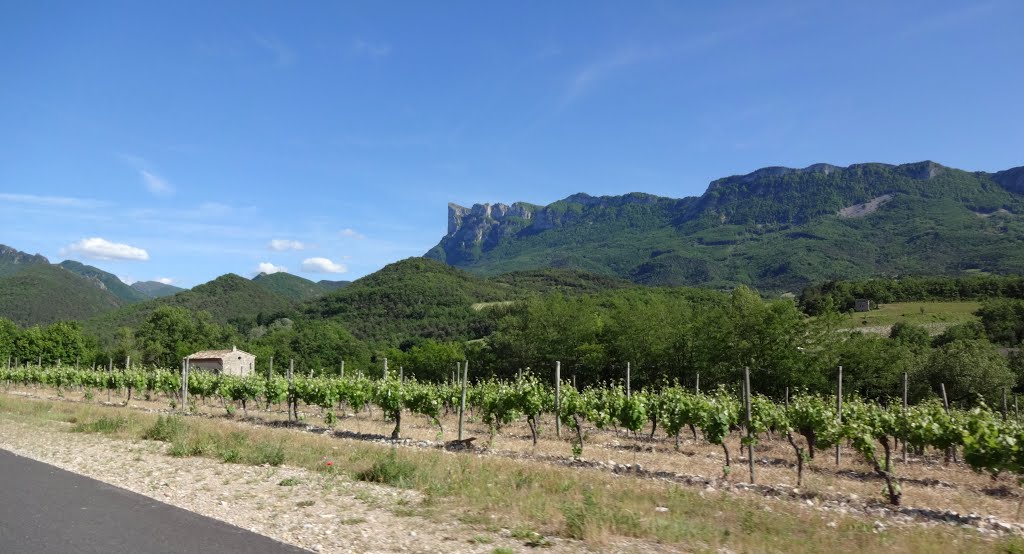 AU BORD DE LA ROUTE