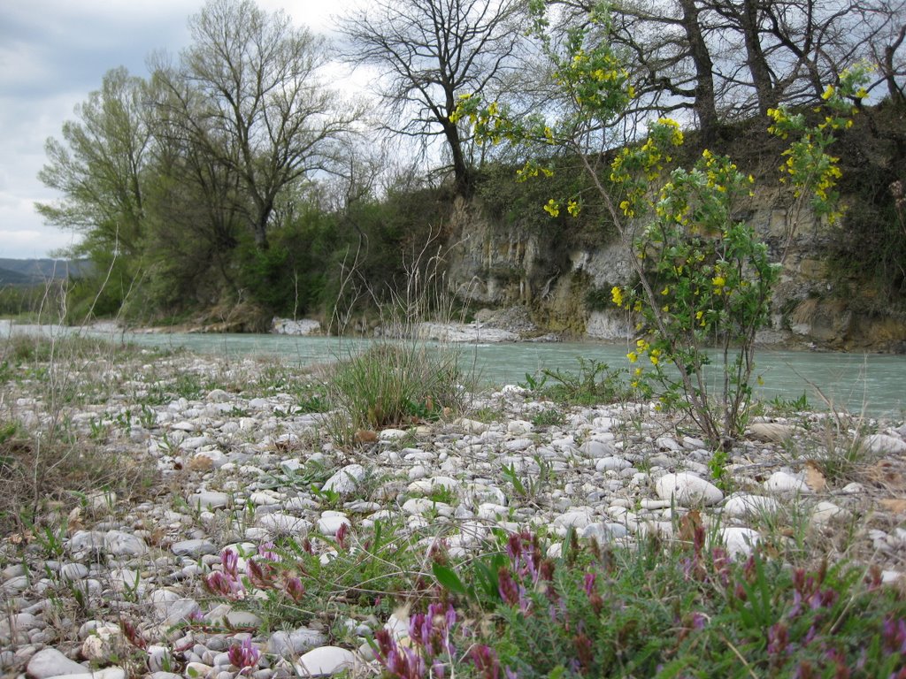 Frühling Im Drome-Bett