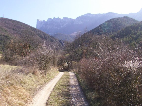 Trachetieu