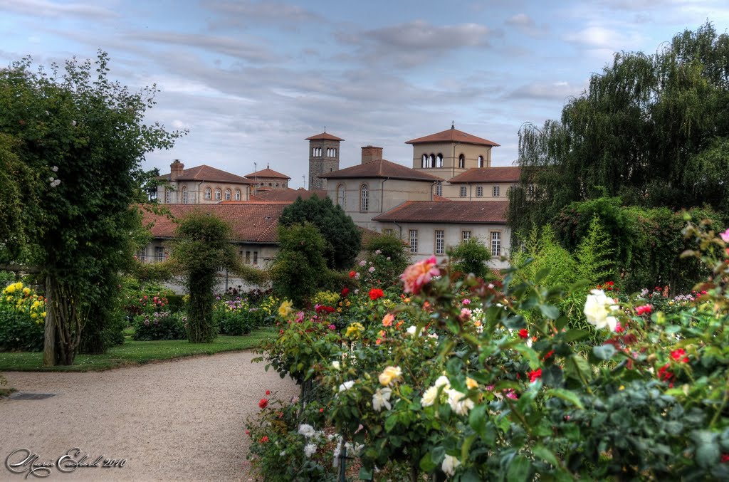 Rosengarten in Rennes
