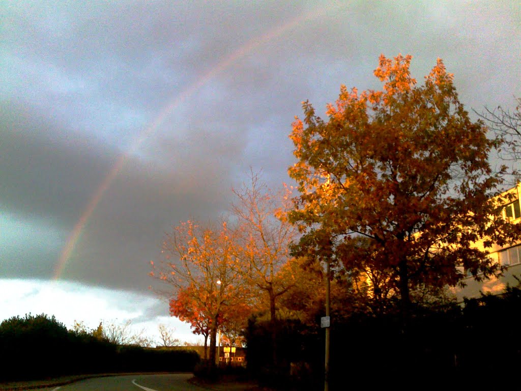 In the small city the life is peaceful. (autumns colour ) To look at the full screen.
