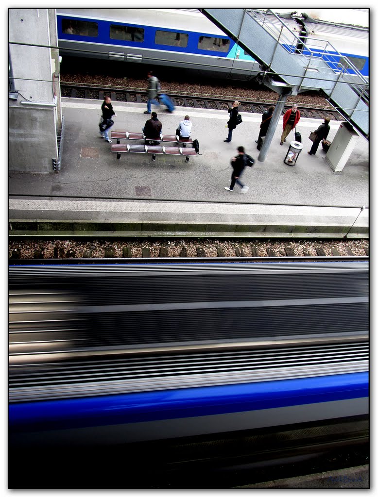 Train de vie