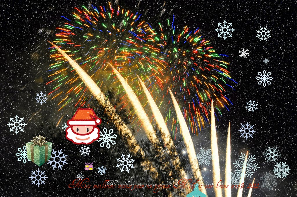 Mes meilleurs voeux pour un joyeux Noël  et une bonne année 2012 à tous mes amis Panoramio (Surtout à  ANNIE  ma meilleure amie qui nous a quittés). My best wishes for a merry Christmas and a happy new year 2012 to all  of my Panoramios freinds ( speciall