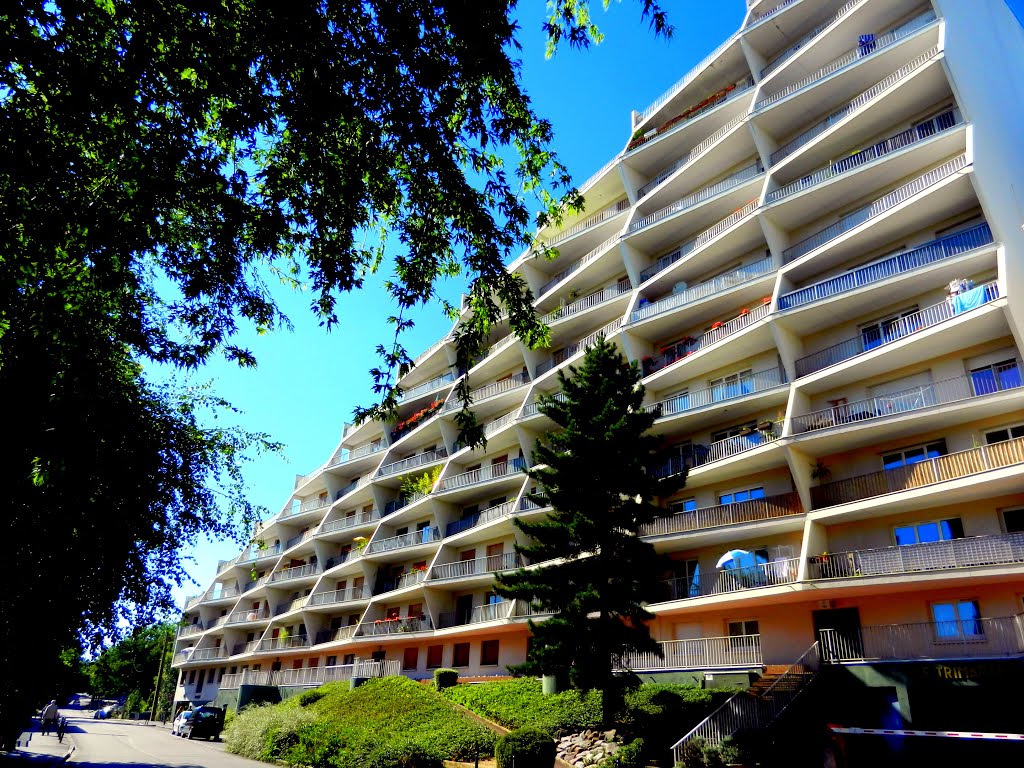 Le Trimaran - Rennes.