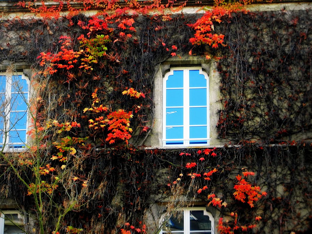 Lautomne à Rennes.