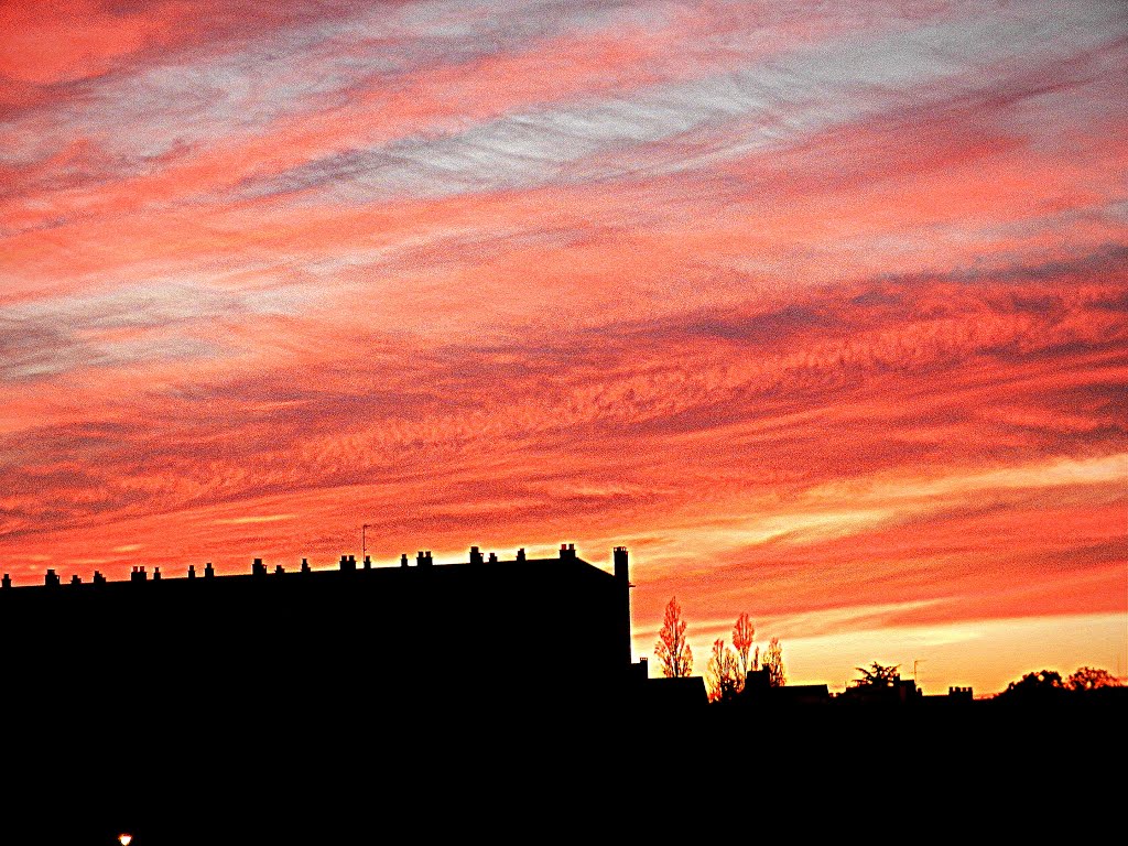 Lautomne à Rennes.