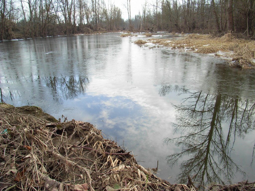 Ecopole du Forez