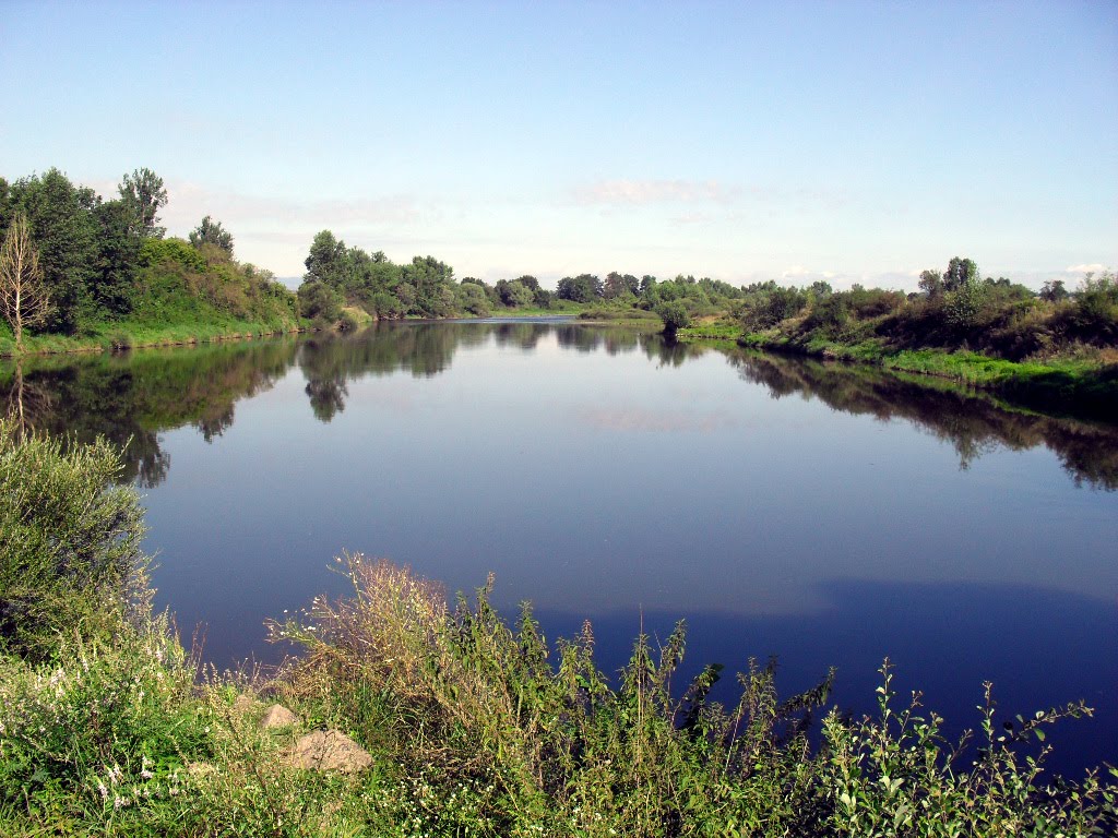 La Loire dans son milieu naturel