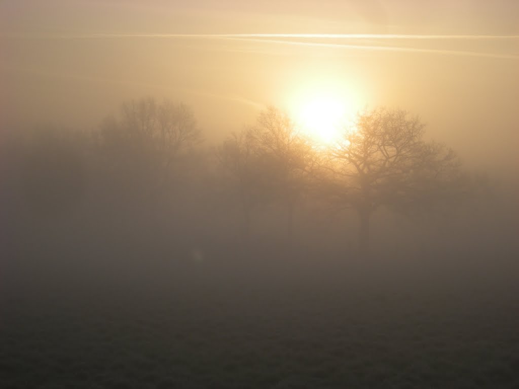 Marclop brouillard matinal