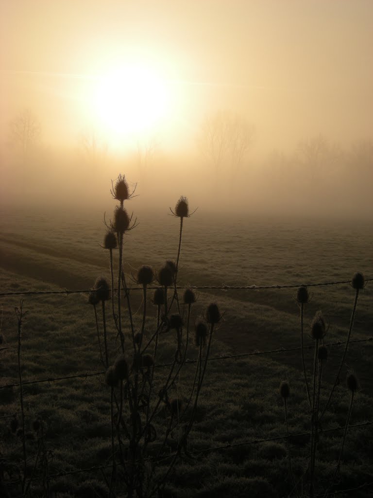 Marclopt lespoir du soleil