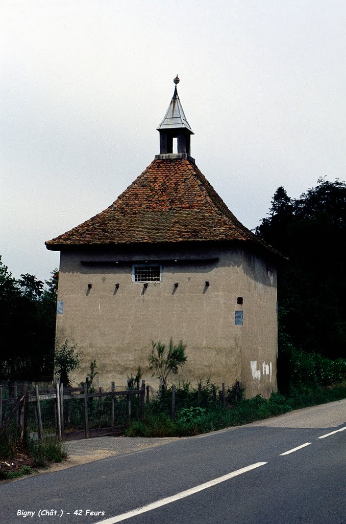 42 feurs - Pigeonnier Bigny