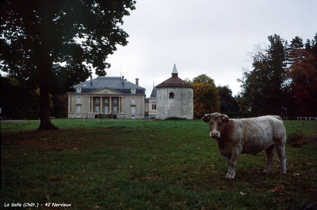 42 Nervieux - Pigeonnier La Salle
