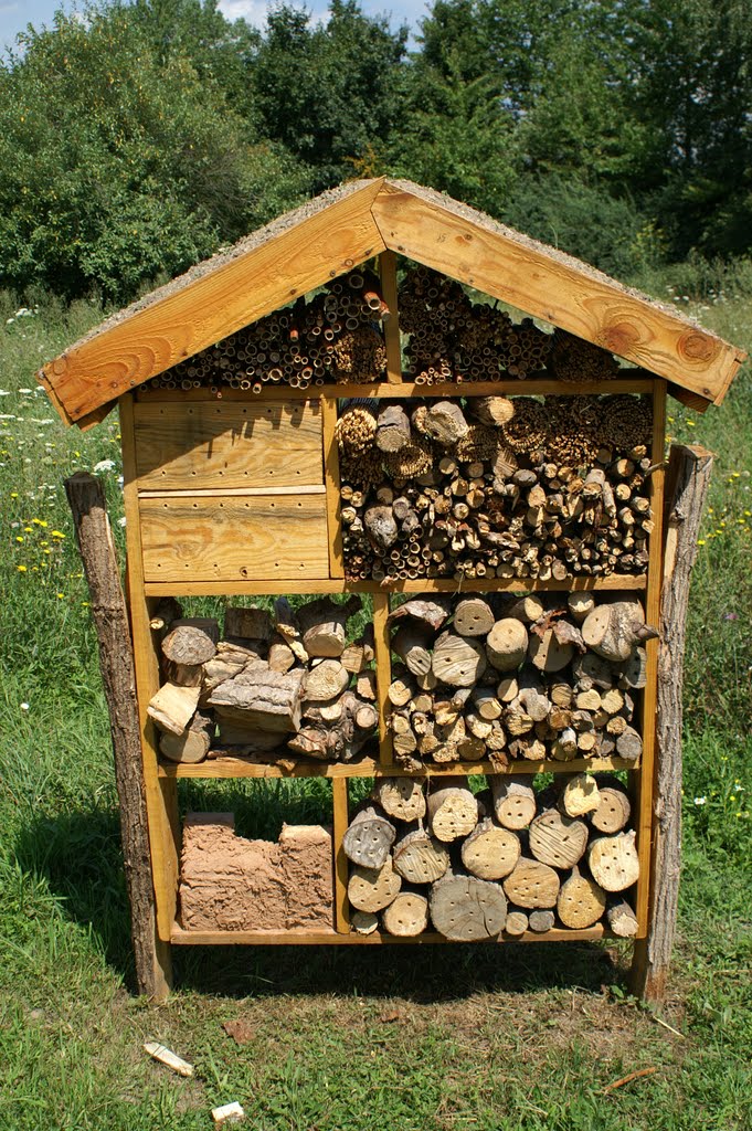 Écopole du Forez