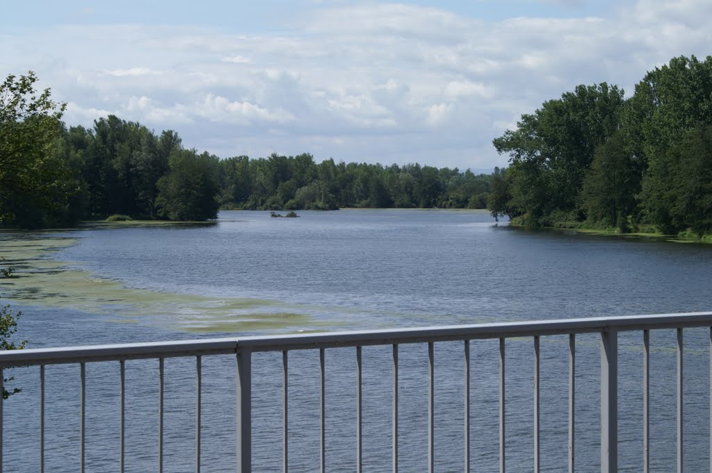 La Loire à Feurs