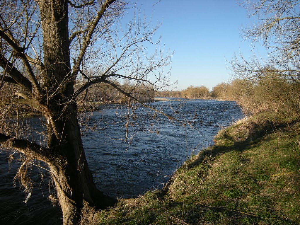 Marclopt les bords de la Loire