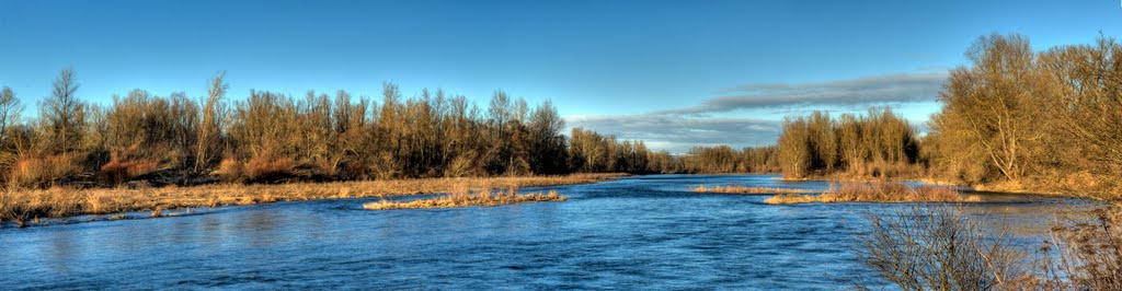 Bords de Loire