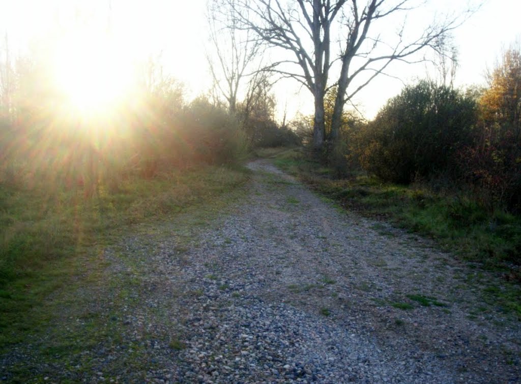 Saint-Georges-Haute-Ville