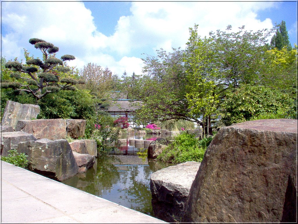 Jardin japonais