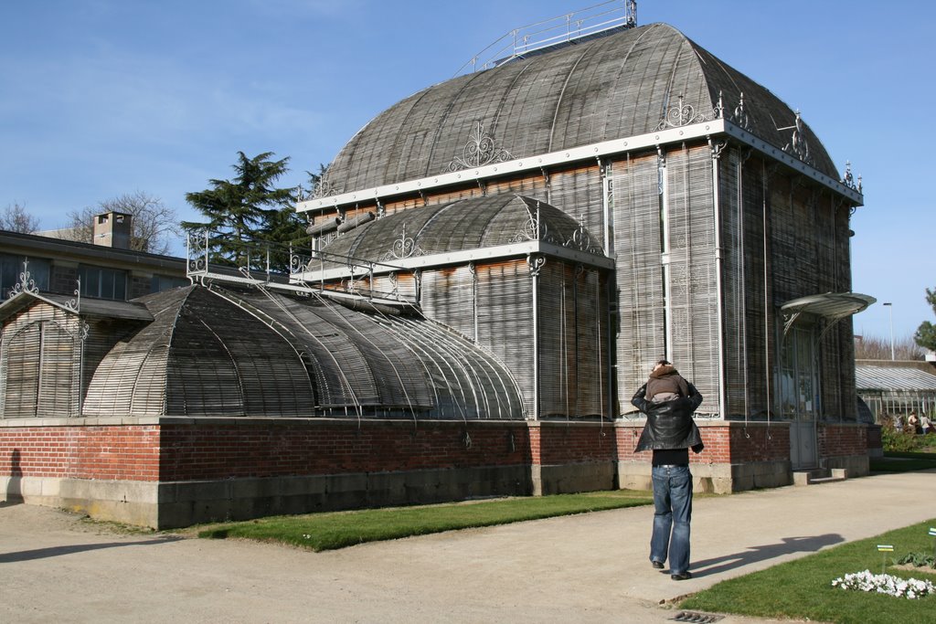 Jardin des plantes